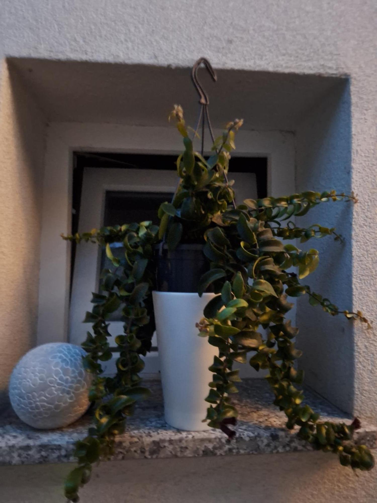 Studio Apartmani Louis I Lola Ζάγκρεμπ Εξωτερικό φωτογραφία